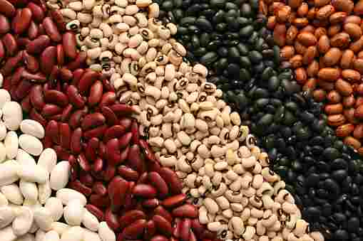 Black grains